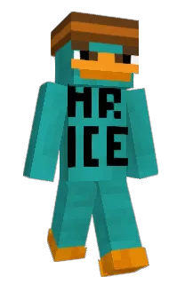 Front of C4K9's skin