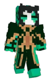 Skin preview