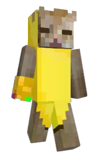 Front of awawasan's skin