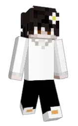Minecraft skin — Slim model