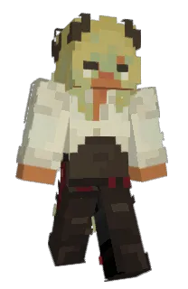 Front of Minecraft skin