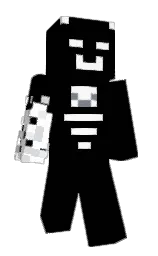 Slim Minecraft skin