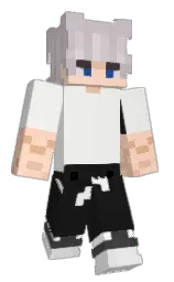 Classic Minecraft skin