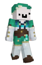 Skin preview