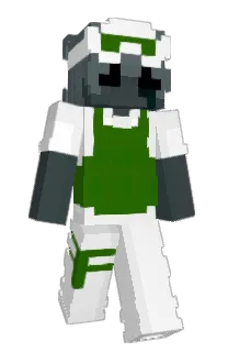 Front of ggiet's skin
