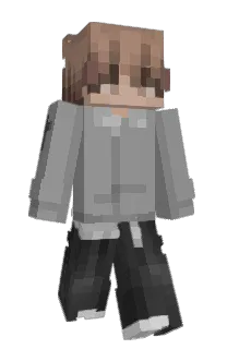 Front of TimoTurtle96's skin