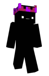 Fluxxity's Minecraft skin