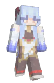 Skin preview