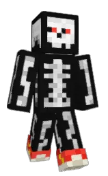 zaicobruh's Minecraft skin wearing the Migrator cape