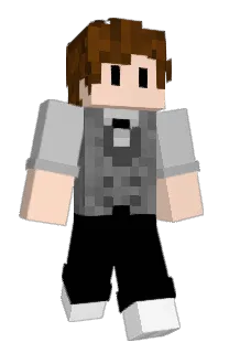 Wridde's Minecraft skin
