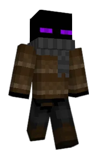 Front of bugsinks's skin