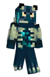 Skin preview