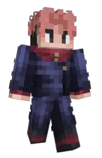 Front of DakoDapi's skin
