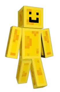 Front of EnWeLL's skin
