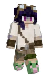 Skin preview