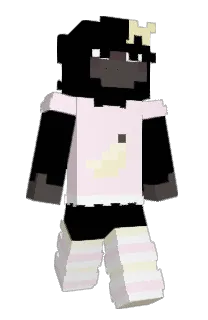 Front of rott1in's skin