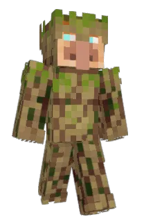 Front of BrrBrrPatapim's skin