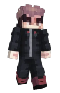 InferAce's Minecraft skin