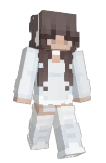 Mr_Carrot24's Minecraft skin