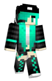 Skin preview