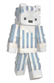 Front of IamB3ar's skin