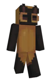 Front of the_skrunkly's skin