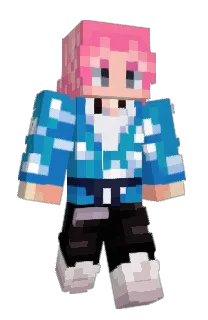 Front of Tesivecraft's skin