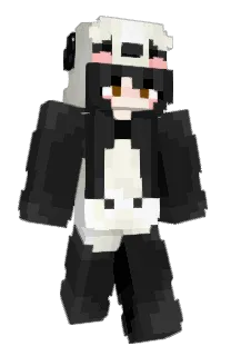 Front of awesomesauce529's skin