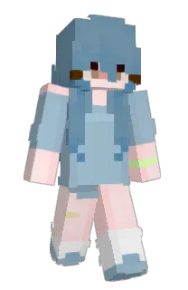 Front of Donkeyckin's skin