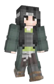 Skin preview