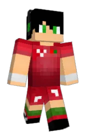 Skin preview