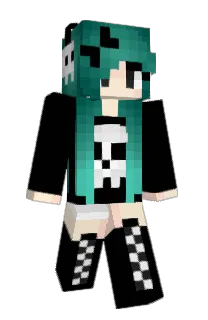 Front of nfz's skin
