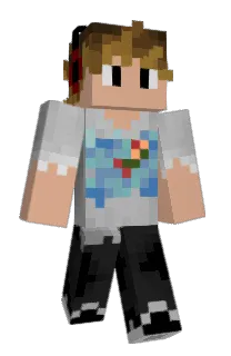 Front of FryingFly's skin
