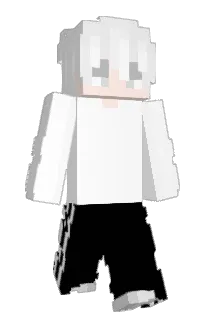 Front of injetando's skin