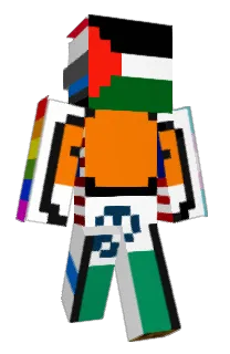 Front of zirconiac's skin