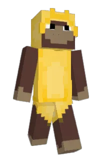 Front of RoveRanRove's skin