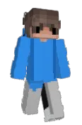 wsgzip