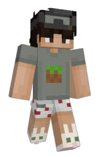 Front of TempohMC's skin