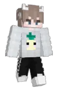 Solev