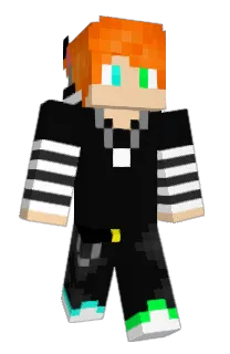 DudeDingo's Minecraft skin