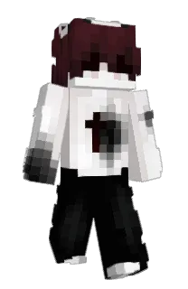 Front of mttic's skin