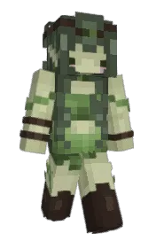 Skin preview