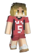 MiniShadovek