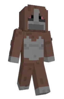 Front of Slimjom's skin