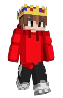 Front of Aidwal's skin