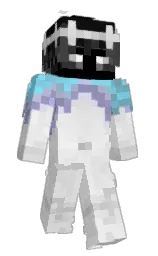 black and malibu Minecraft skin — Slim model