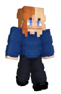 dvdplayr's Minecraft skin
