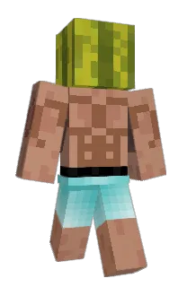 Front of Minecraft skin