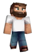 TheToweler