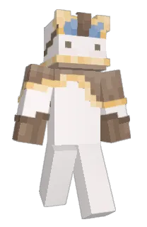 Front of Vii_Wiii's skin